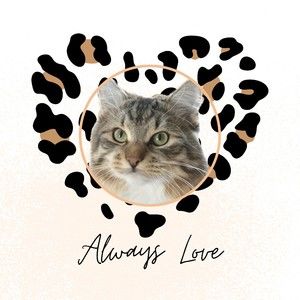 Meet your Posher, Grant